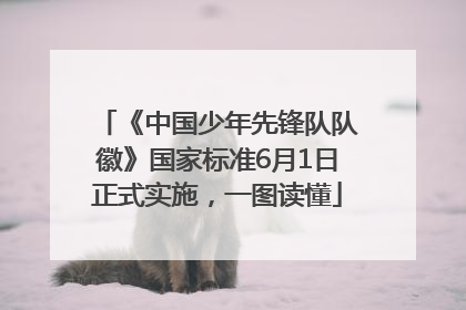 《中国少年先锋队队徽》国家标准6月1日正式实施，一图读懂
