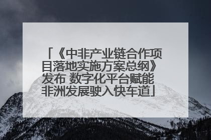 《中非产业链合作项目落地实施方案总纲》发布 数字化平台赋能非洲发展驶入快车道