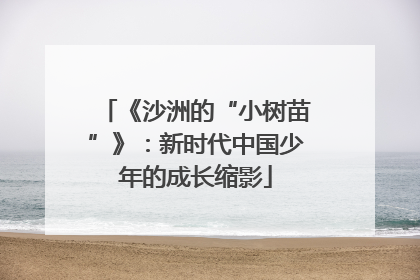 《沙洲的“小树苗”》：新时代中国少年的成长缩影