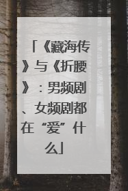 《藏海传》与《折腰》：男频剧、女频剧都在“爱”什么