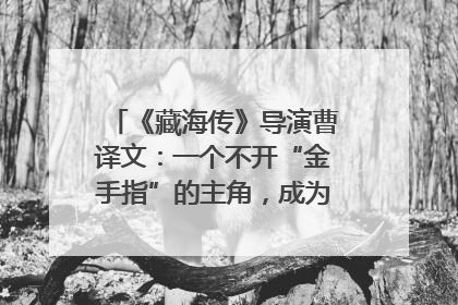 《藏海传》导演曹译文：一个不开“金手指”的主角，成为苍生守护者