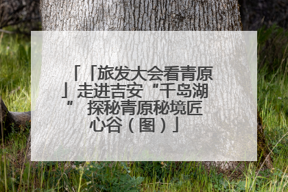 「旅发大会看青原」走进吉安“千岛湖” 探秘青原秘境匠心谷（图）