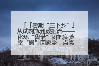 「暑期“三下乡”」从试剂瓶到数据流——化环“鲁诺”团把实验室“搬”回家乡，点亮桑梓求知路