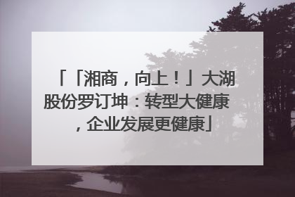 「湘商，向上！」大湖股份罗订坤：转型大健康，企业发展更健康