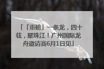 「重磅」一条龙，四十载，耀珠江！广州国际龙舟邀请赛6月1日见