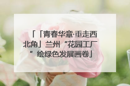 「青春华章·重走西北角」兰州“花园工厂”绘绿色发展画卷