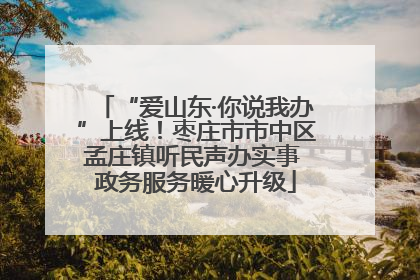 “爱山东·你说我办”上线！枣庄市市中区孟庄镇听民声办实事 政务服务暖心升级
