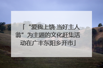 “爱我上饶·当好主人翁”为主题的文化赶集活动在广丰东阳乡开市