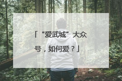 “爱武城”大众号，如何爱？