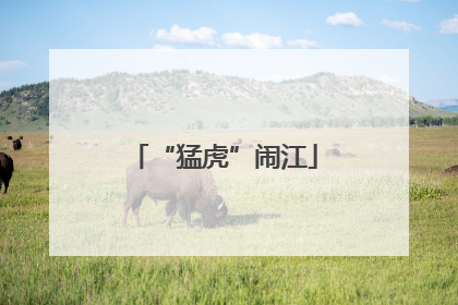 “猛虎”闹江
