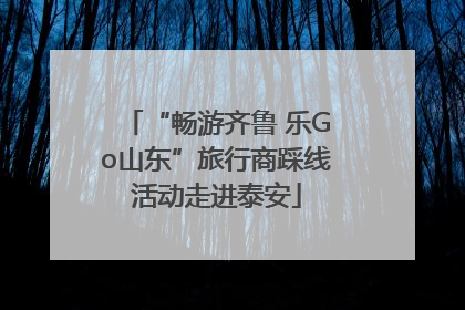 “畅游齐鲁 乐Go山东”旅行商踩线活动走进泰安