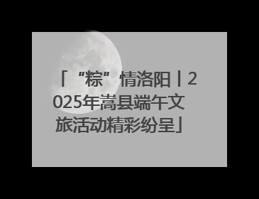 “粽”情洛阳丨2025年嵩县端午文旅活动精彩纷呈