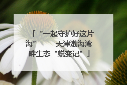 “一起守护好这片海”——天津渤海湾畔生态“蜕变记”