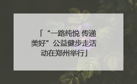 “一路纯悦 传递美好”公益健步走活动在郑州举行
