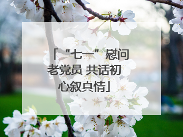 “七一”慰问老党员 共话初心叙真情