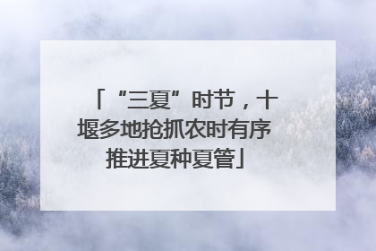 “三夏”时节，十堰多地抢抓农时有序推进夏种夏管