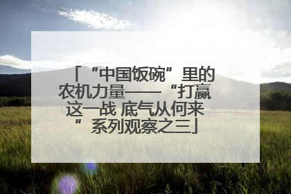 “中国饭碗”里的农机力量——“打赢这一战 底气从何来”系列观察之三