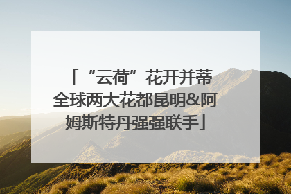 “云荷”花开并蒂 全球两大花都昆明&阿姆斯特丹强强联手