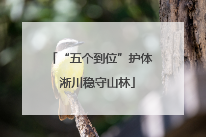 “五个到位”护体 淅川稳守山林