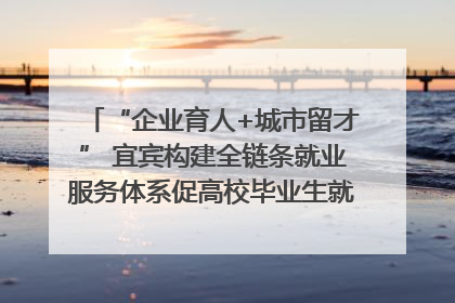 “企业育人+城市留才” 宜宾构建全链条就业服务体系促高校毕业生就业｜您牵挂的四川