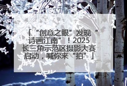 “创意之眼”发现“诗画江南”！2025长三角示范区摄影大赛启动，喊你来“拍”