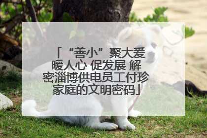 “善小”聚大爱 暖人心 促发展 解密淄博供电员工付珍家庭的文明密码