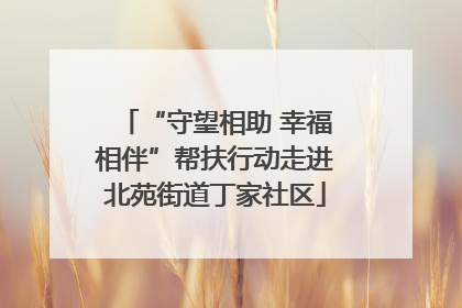 “守望相助 幸福相伴”帮扶行动走进北苑街道丁家社区