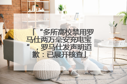 “多所高校禁用罗马仕两万毫安充电宝”，罗马仕发声明道歉：已展开核查