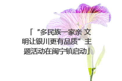“多民族一家亲 文明让银川更有品质”主题活动在闽宁镇启动