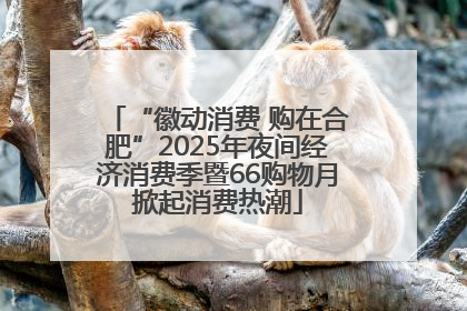 “徽动消费 购在合肥”2025年夜间经济消费季暨66购物月掀起消费热潮
