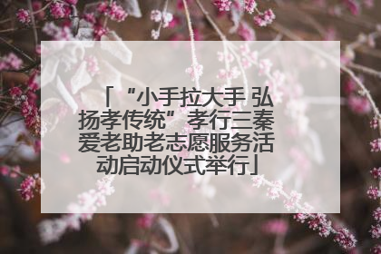 “小手拉大手 弘扬孝传统”孝行三秦爱老助老志愿服务活动启动仪式举行