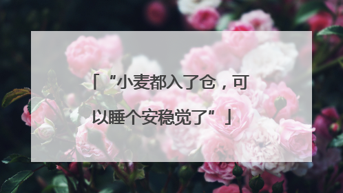 “小麦都入了仓，可以睡个安稳觉了”