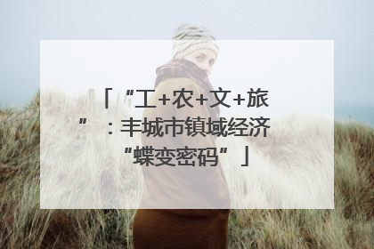 “工+农+文+旅”：丰城市镇域经济“蝶变密码”