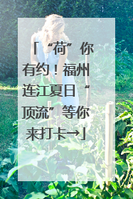 “荷”你有约！福州连江夏日“顶流”等你来打卡→