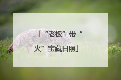 “老板”带“火”宝藏日照