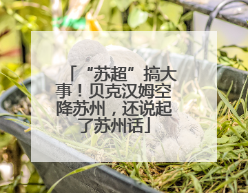 “苏超”搞大事！贝克汉姆空降苏州，还说起了苏州话