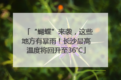 “蝴蝶”来袭，这些地方有暴雨！长沙最高温度将回升至36℃