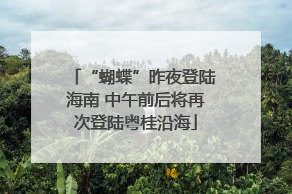 “蝴蝶”昨夜登陆海南 中午前后将再次登陆粤桂沿海