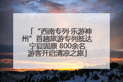 “西南专列·乐游神州”首趟旅游专列抵达宁夏固原 800余名游客开启清凉之旅