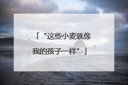 “这些小麦就像我的孩子一样”