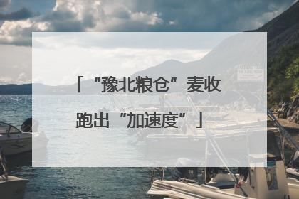 “豫北粮仓”麦收跑出“加速度”