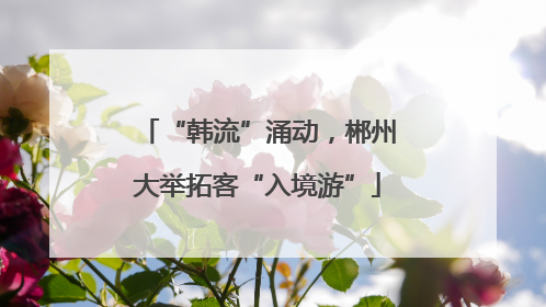 “韩流”涌动，郴州大举拓客“入境游”