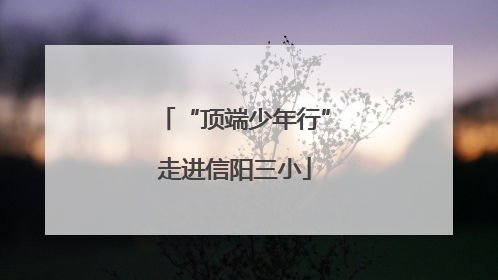 “顶端少年行”走进信阳三小