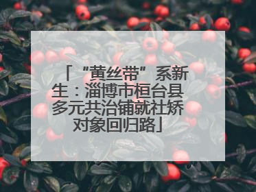 “黄丝带”系新生：淄博市桓台县多元共治铺就社矫对象回归路