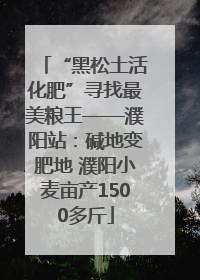 “黑松土活化肥”寻找最美粮王——濮阳站：碱地变肥地 濮阳小麦亩产1500多斤