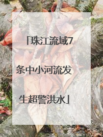 珠江流域7条中小河流发生超警洪水