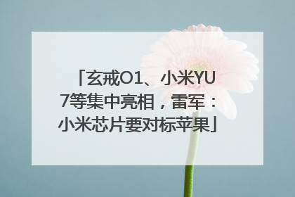 玄戒O1、小米YU7等集中亮相，雷军：小米芯片要对标苹果