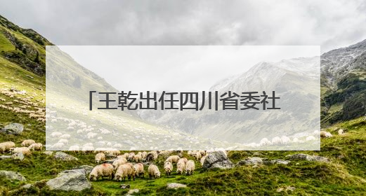 王乾出任四川省委社会工作部部长，省委常委靳磊不再兼任