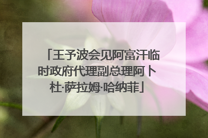 王予波会见阿富汗临时政府代理副总理阿卜杜·萨拉姆·哈纳菲