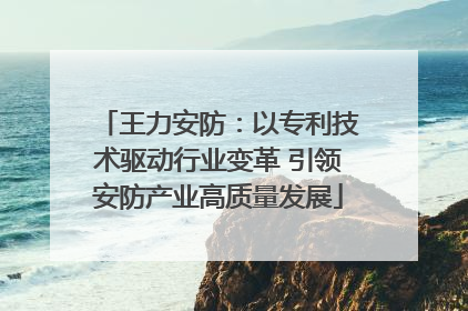 王力安防：以专利技术驱动行业变革 引领安防产业高质量发展